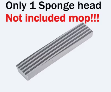 Sponge